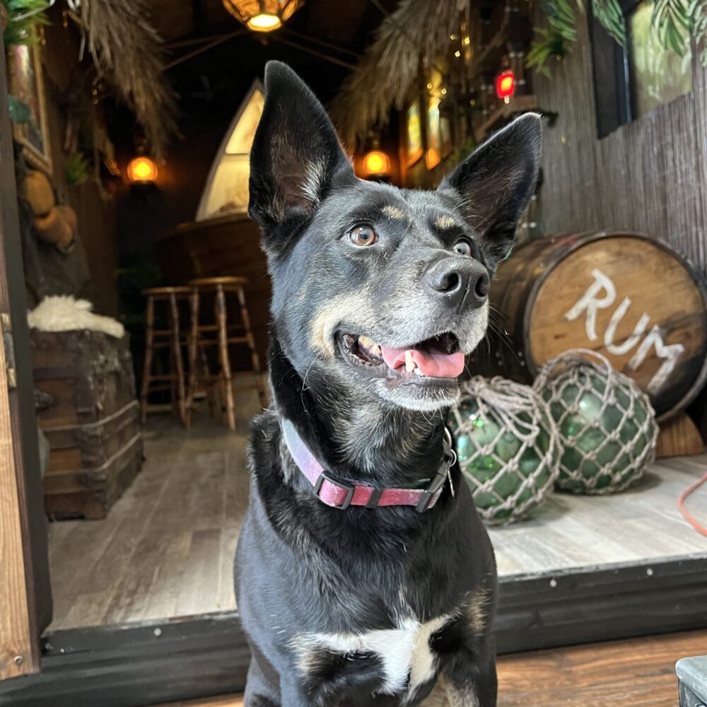 Tiki Bar Night
